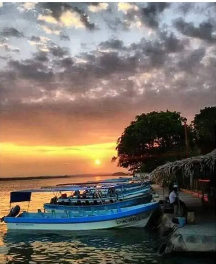 Aquí disfrutaras de hermosos paisajes, Es donde salen lanchas a Manglares