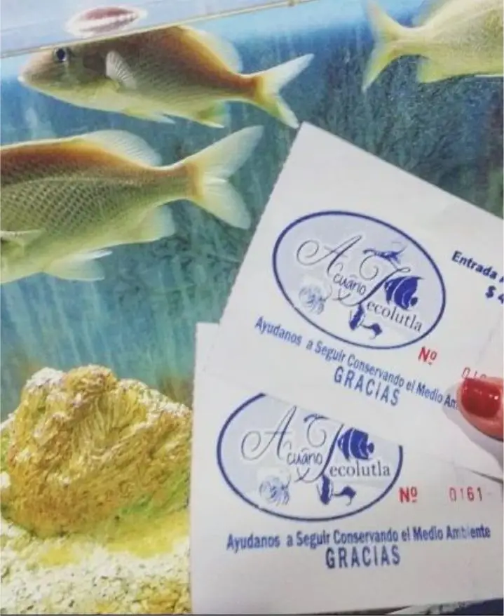Desde peces pequeños a otros más grandes y coloridos, pasando por las tortugas y peces de cuerpo anguiliforme como la morena, por lo que la exhibición es amplia